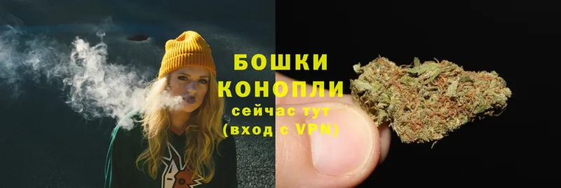 Конопля Ganja  Армянск 